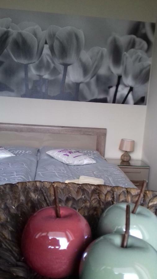 Apartment Provensal Liptovský Mikuláš Esterno foto